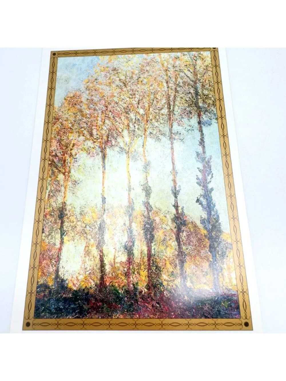 Monet beautiful set